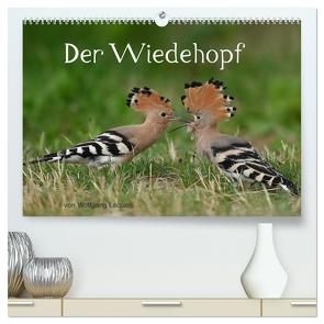 Der Wiedehopf (hochwertiger Premium Wandkalender 2024 DIN A2 quer), Kunstdruck in Hochglanz von Lequen,  Wolfgang
