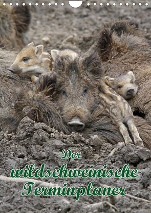 Der wildschweinische Terminplaner (Wandkalender 2023 DIN A4 hoch) von Lindert-Rottke,  Antje