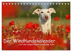 Der Windhundekalender (Tischkalender 2024 DIN A5 quer), CALVENDO Monatskalender von Köntopp,  Kathrin