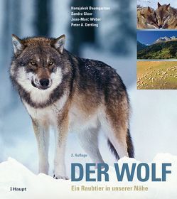 Der Wolf von Baumgartner,  Hansjakob, Dettling,  Peter A., Gloor,  Sandra, Weber,  Jean-Marc