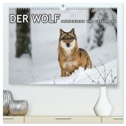 DER WOLF – faszinierend und gefährlich (hochwertiger Premium Wandkalender 2024 DIN A2 quer), Kunstdruck in Hochglanz von Haidl - www.chphotography.de,  Christian