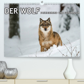 DER WOLF – faszinierend und gefährlich (Premium, hochwertiger DIN A2 Wandkalender 2023, Kunstdruck in Hochglanz) von Haidl - www.chphotography.de,  Christian