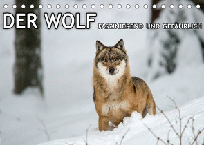 DER WOLF – faszinierend und gefährlich (Tischkalender 2022 DIN A5 quer) von Haidl - www.chphotography.de,  Christian