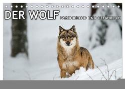 DER WOLF – faszinierend und gefährlich (Tischkalender 2024 DIN A5 quer), CALVENDO Monatskalender von Haidl - www.chphotography.de,  Christian