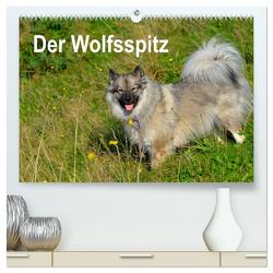 Der Wolfsspitz (hochwertiger Premium Wandkalender 2024 DIN A2 quer), Kunstdruck in Hochglanz von Werner-Ney,  S.