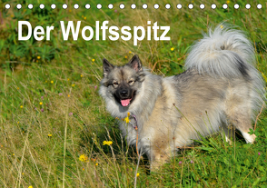 Der Wolfsspitz (Tischkalender 2021 DIN A5 quer) von Werner-Ney,  S.