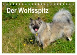 Der Wolfsspitz (Tischkalender 2024 DIN A5 quer), CALVENDO Monatskalender von Werner-Ney,  S.