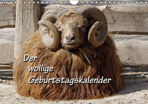 Der wollige Geburtstagskalender (Wandkalender immerwährend DIN A4 quer) von Berg,  Martina