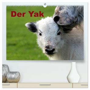 Der Yak (hochwertiger Premium Wandkalender 2024 DIN A2 quer), Kunstdruck in Hochglanz von Witkowski,  Bernd