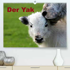 Der Yak (Premium, hochwertiger DIN A2 Wandkalender 2023, Kunstdruck in Hochglanz) von Witkowski,  Bernd
