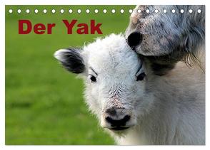 Der Yak (Tischkalender 2024 DIN A5 quer), CALVENDO Monatskalender von Witkowski,  Bernd