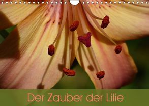 Der Zauber der Lilie (Wandkalender 2019 DIN A4 quer) von Vogl,  Beate
