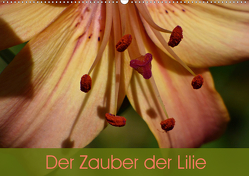 Der Zauber der Lilie (Wandkalender 2021 DIN A2 quer) von Vogl,  Beate