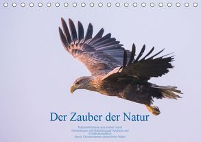 Der Zauber der Natur (Tischkalender 2019 DIN A5 quer) von Holzhausen,  Andreas