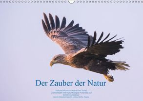 Der Zauber der Natur (Wandkalender 2019 DIN A3 quer) von Holzhausen,  Andreas