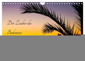 Der Zauber des Bodensees (Wandkalender 2024 DIN A4 quer), CALVENDO Monatskalender von Rogalski,  Solveig