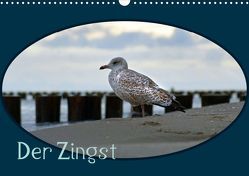 Der Zingst (Posterbuch DIN A3 quer) von Flori0,  k.A.