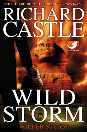Derrick Storm 2: Wild Storm – Wilder Sturm von Castle,  Richard