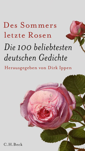 Des Sommers letzte Rosen von Ippen,  Dirk, Laubach-Kiani,  Philip