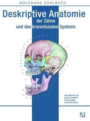 Deskriptive Anatomie der Zähne und des kraniofazialen Systems von Kohlbach,  Wolfgang