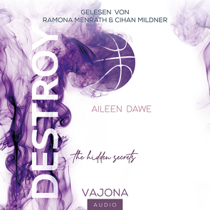 DESTROY the hidden secrets (DESTROY-Reihe 1) von Dawe,  Aileen, Menrath,  Ramona, Mildner,  Cihan