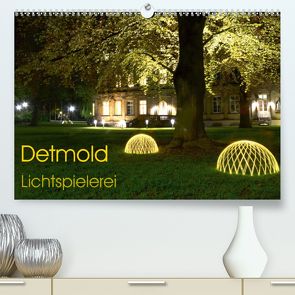 Detmold Lichtspielerei (Premium, hochwertiger DIN A2 Wandkalender 2020, Kunstdruck in Hochglanz) von Witzel,  Christine