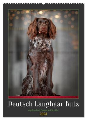 Deutsch Langhaar Butz – Jagdhund mit Passion und Herzblut (Wandkalender 2024 DIN A2 hoch), CALVENDO Monatskalender von Gerlach,  Nadine