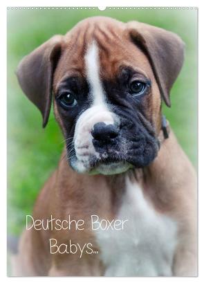 Deutsche Boxer Babys… (Wandkalender 2024 DIN A2 hoch), CALVENDO Monatskalender von Schwalm Böttcher,  Nicole