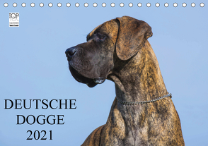 Deutsche Dogge 2021 (Tischkalender 2021 DIN A5 quer) von Starick,  Sigrid