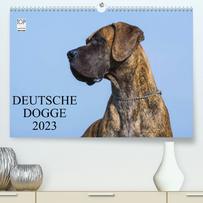 Deutsche Dogge 2023 (Premium, hochwertiger DIN A2 Wandkalender 2023, Kunstdruck in Hochglanz) von Starick,  Sigrid