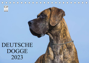 Deutsche Dogge 2023 (Tischkalender 2023 DIN A5 quer) von Starick,  Sigrid