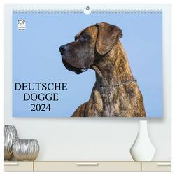 Deutsche Dogge 2024 (hochwertiger Premium Wandkalender 2024 DIN A2 quer), Kunstdruck in Hochglanz von Starick,  Sigrid