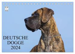 Deutsche Dogge 2024 (Tischkalender 2024 DIN A5 quer), CALVENDO Monatskalender von Starick,  Sigrid