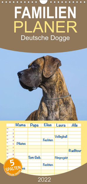 Deutsche Dogge – Familienplaner hoch (Wandkalender 2022 , 21 cm x 45 cm, hoch) von Starick,  Sigrid