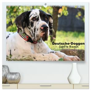 Deutsche Doggen – Sanfte Riesen (hochwertiger Premium Wandkalender 2024 DIN A2 quer), Kunstdruck in Hochglanz von Reiß-Seibert,  Marion