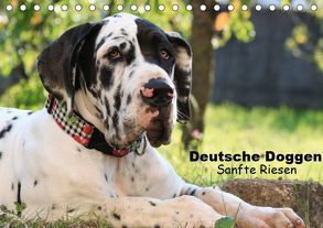 Deutsche Doggen – Sanfte Riesen (Tischkalender 2019 DIN A5 quer) von Reiß-Seibert,  Marion
