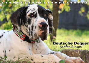Deutsche Doggen – Sanfte Riesen (Tischkalender 2022 DIN A5 quer) von Reiß-Seibert,  Marion