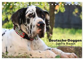 Deutsche Doggen – Sanfte Riesen (Tischkalender 2024 DIN A5 quer), CALVENDO Monatskalender von Reiß-Seibert,  Marion