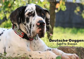Deutsche Doggen – Sanfte Riesen (Wandkalender 2019 DIN A3 quer) von Reiß-Seibert,  Marion