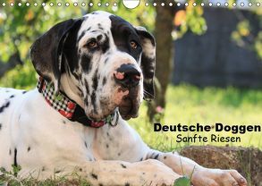 Deutsche Doggen – Sanfte Riesen (Wandkalender 2019 DIN A4 quer) von Reiß-Seibert,  Marion