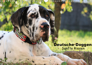 Deutsche Doggen – Sanfte Riesen (Wandkalender 2021 DIN A3 quer) von Reiß-Seibert,  Marion