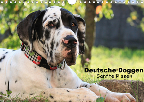 Deutsche Doggen – Sanfte Riesen (Wandkalender 2021 DIN A4 quer) von Reiß-Seibert,  Marion