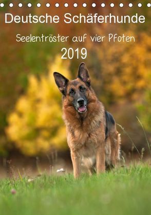 Deutsche Schäferhunde – Seelentröster auf vier Pfoten (Tischkalender 2019 DIN A5 hoch) von Schiller,  Petra