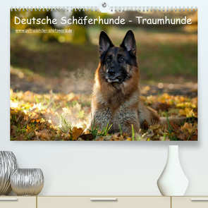 Deutsche Schäferhunde – Traumhunde (Premium, hochwertiger DIN A2 Wandkalender 2023, Kunstdruck in Hochglanz) von Schiller,  Petra