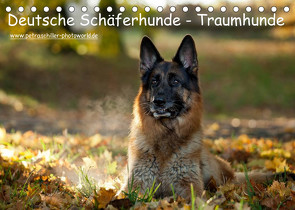 Deutsche Schäferhunde – Traumhunde (Tischkalender 2023 DIN A5 quer) von Schiller,  Petra