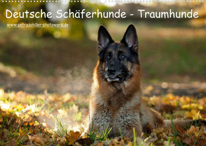 Deutsche Schäferhunde – Traumhunde (Wandkalender 2023 DIN A2 quer) von Schiller,  Petra