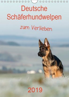 Deutsche Schäferhundwelpen zum Verlieben (Wandkalender 2019 DIN A4 hoch) von Schiller,  Petra