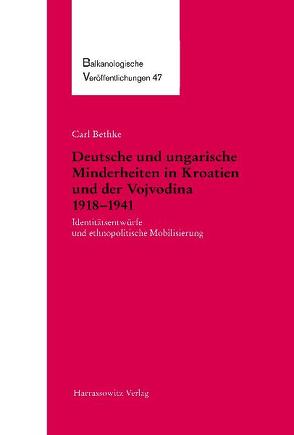 Deutsche und ungarische Minderheiten in Kroatien und der Vojvodina 1918-1941 von Bethke,  Carl