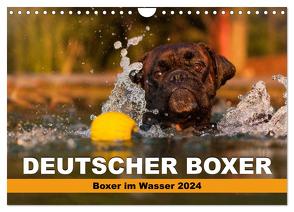 Deutscher Boxer – Boxer im Wasser 2024 (Wandkalender 2024 DIN A4 quer), CALVENDO Monatskalender von Mielke,  Kerstin