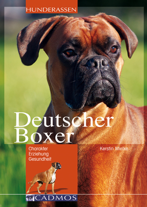 Deutscher Boxer von Mielke,  Kerstin